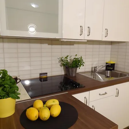 Apartment Polna *